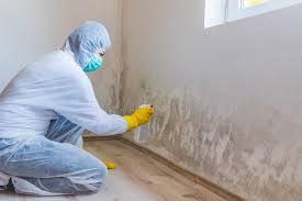 Why You Should Choose Our Mold Remediation Services in Tallmadge, OH