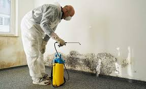 Reliable Tallmadge, OH Mold Prevention & Removal  Solutions